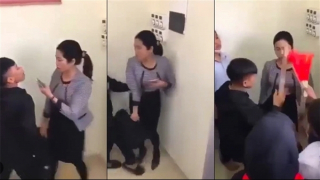 Chuyện “muỗi” ấy mà