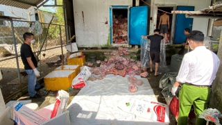 Phát hiện nhiều vi khuẩn sinh độc tố trong 3 tấn thịt lợn đông lạnh chờ bán dịp Tết