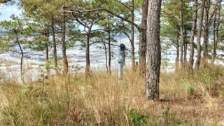 Du khách phát hiện thi thể treo trên núi Hòn Bồ