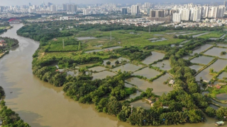 Cân nhắc khi giao dự án cho doanh nghiệp không đầu tư xây dựng