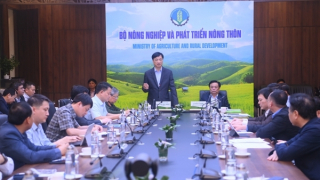 Khắc phục ngay những "điểm nghẽn" làm chậm tiến độ triển khai Đề án 06 trong ngành Nông nghiệp
