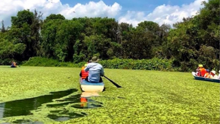 Không ngừng liên kết, hợp tác phát triển du lịch sinh thái