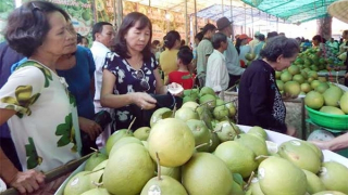 Phát triển thương hiệu đặc sản thanh trà Huế