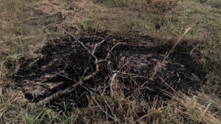 Điều tra nguyên nhân mặt đất bỗng nhiên phát lửa bốc cháy