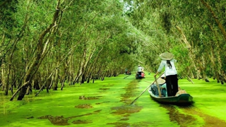 Điều chưa biết về Điểm tham quan Khu bảo tồn Đồng Tháp Mười