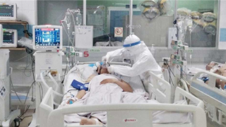 Nhiều dịch bệnh khó lường còn diễn biến trong năm 2024