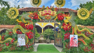 Cây trái miệt vườn hóa rồng bay, phượng múa