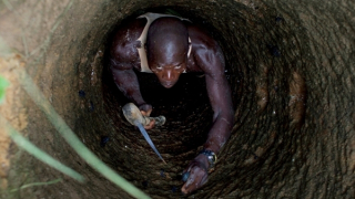 Sập mỏ vàng ở Mali, 73 người thiệt mạng