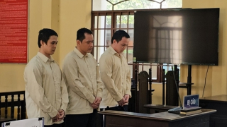 Dùng súng bắn chuột đi cướp ngân hàng, 3 bị cáo lãnh 26 năm tù