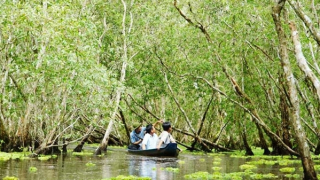 Ăn Tết nơi Đất Mũi Cà Mau
