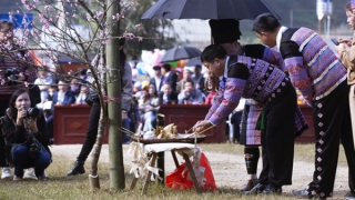 Tản mạn chuyện đón Tết