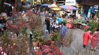 Tết Giáp Thìn sẽ lạnh nhưng không rét buốt