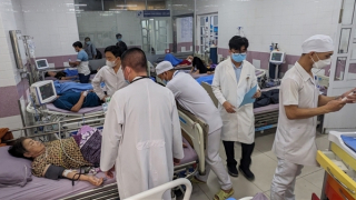 Vụ 49 người ngộ độc sau khi ăn bánh mì: Chưa xuất trình được hồ sơ tự công bố sản phẩm