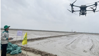 Quảng Bình lần đầu gieo sạ, bón phân bằng thiết bị bay không người lái