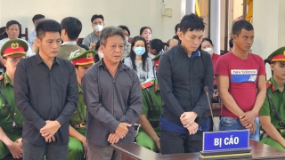 Xét xử các đối tượng đưa tàu biển ra nước ngoài đánh bắt hải sản trái phép