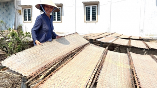 Đặc sản miền Tây vào vụ Tết, giá nhích nhẹ