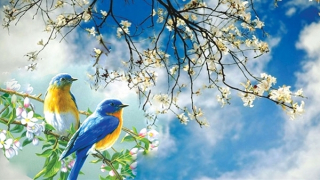 Lặng im trước biển tràn xuân