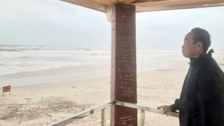 Chuyện về lão ngư hơn 150 lần “cướp cơm” Hà Bá