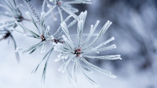 Khẽ gọi mùa sang