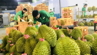 Đẩy mạnh xuất khẩu vào thị trường Trung Quốc