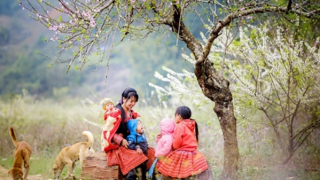 Cùng đón “Sắc xuân trên mọi miền Tổ quốc”