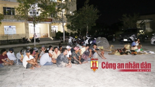 Bắt quả tang 29 đối tượng đá gà ăn tiền, tạm giữ gần 140 triệu đồng