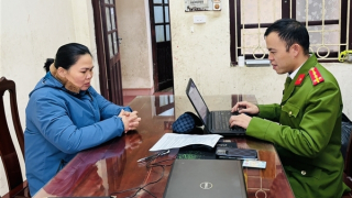 Mua bán gần 50 kg cành, quả cây anh túc tươi, một người bị khởi tố