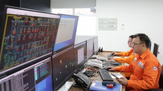 Sẵn sàng vận hành hệ thống điện an toàn, ổn định trong kỳ nghỉ Tết Nguyên đán Giáp Thìn 2024