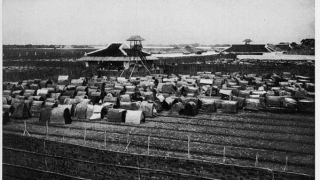 Công bố hơn 200 tài liệu trong Di sản tư liệu thế giới - khối Châu bản Triều Nguyễn