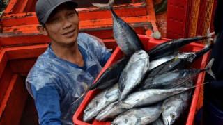 Ngư dân Quảng Trị trúng “lộc biển” những ngày cuối năm