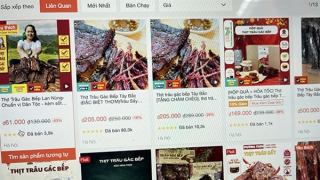 Sôi động chợ Tết Online