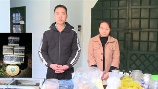 Bắt 3 vụ, thu giữ hơn 100kg pháo tự chế các loại