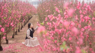 Mùng 1 Tết, miền Bắc trời rét đậm, rét hại, trưa và chiều hửng nắng