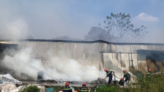 Trắng đêm dập tắt đám cháy rừng ở Hải Phòng