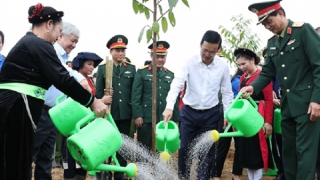Chủ tịch nước phát động Tết trồng cây “Đời đời nhớ ơn Bác Hồ” tại Tuyên Quang