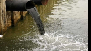 Gây ô nhiễm môi trường, một công ty ở Vĩnh Phúc bị xử phạt trên 1,3 tỷ đồng