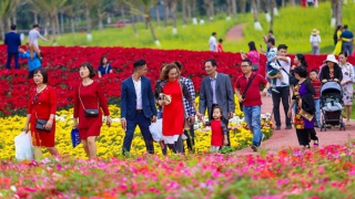 Nỗ lực để Xuân này hơn hẳn những Xuân qua