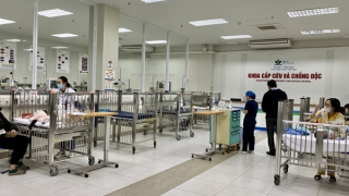 Uống thuốc cam chữa động kinh, bé gái 9 tuổi mất não vì ngộ độc chì