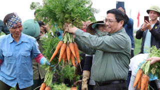 Thủ tướng Phạm Minh Chính xuống đồng cùng nông dân tỉnh Hải Dương