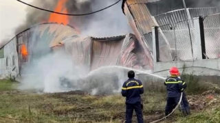 3 phụ nữ thoát nạn trong vụ cháy vựa mua bán xoài