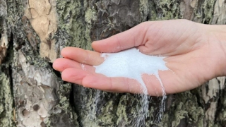 Pin natri-Ion thay đổi cuộc chơi năng lượng tái tạo