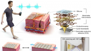 Phát triển cảm biến chống mồ hôi