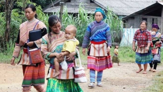 Xông đất rừng đầu năm