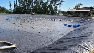 Sửa chữa hồ nuôi tôm, người đàn ông bị điện giật tử vong