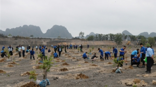 TKV đầu tư ngàn tỷ để phát triển sản xuất hài hòa với môi trường