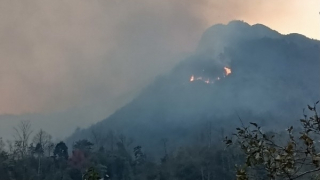 Công an Lào Cai huy động lực lượng dập lửa tại Vườn Quốc gia Hoàng Liên