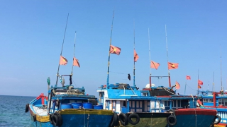 Hơn 4.300 tàu cá không bật giám sát hành trình, Bộ NN&PTNT đề nghị làm rõ