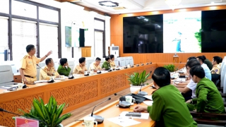 Thừa Thiên Huế “mổ xẻ” nguyên nhân gây tai nạn trên cao tốc Cam Lộ - La Sơn