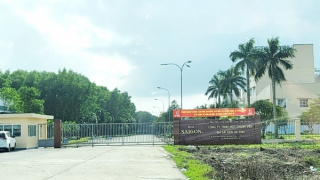 Doanh nghiệp đóng thuế lớn nhất Hà Tĩnh bị xử phạt vì gây ô nhiễm môi trường