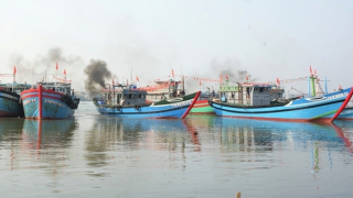 Ngư dân phấn khởi với “lộc biển” đầu xuân